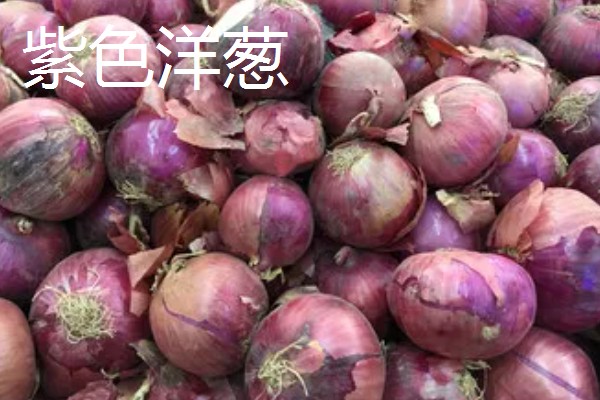 洋葱是白的好还是紫的好，各有各的优点