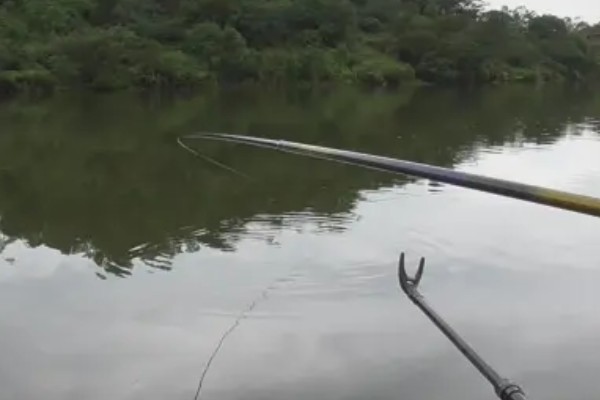 梅州钓法是否适合野钓，只适合野钓鲮鱼