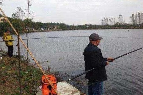 梅州钓法是否适合野钓，只适合野钓鲮鱼
