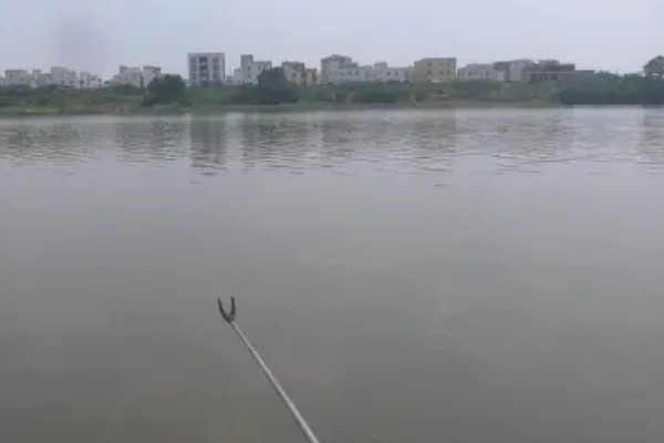 梅州钓法是否适合野钓，只适合野钓鲮鱼