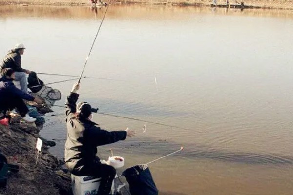 梅州钓法是否适合野钓，只适合野钓鲮鱼