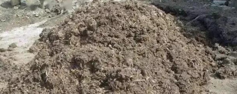 使用畜禽粪肥的好处，猪粪可以形成腐殖质