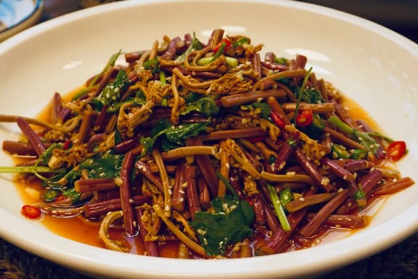 蕨菜生长在哪里，常见于山地的阳面坡或森林边缘