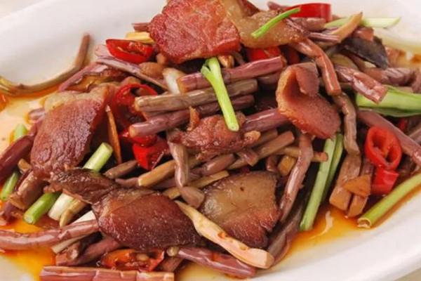 蕨菜生长在哪里，常见于山地的阳面坡或森林边缘