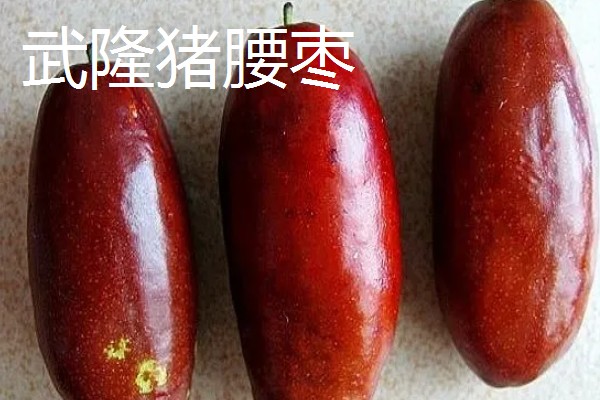 重庆市武隆的特产，常见的有白马蜂蜜、武隆高山白菜等