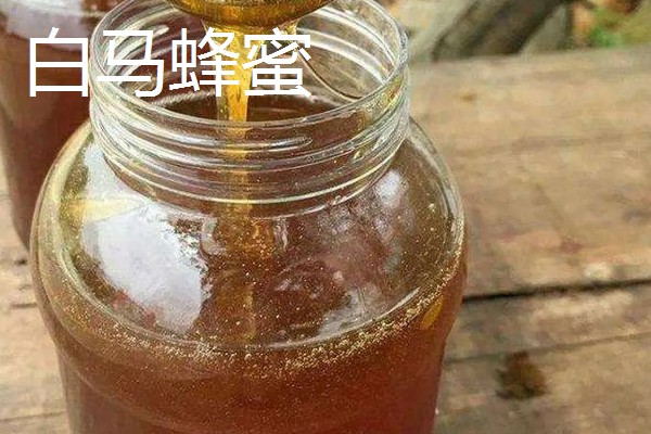 重庆市武隆的特产，常见的有白马蜂蜜、武隆高山白菜等