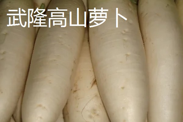 重庆市武隆的特产，常见的有白马蜂蜜、武隆高山白菜等