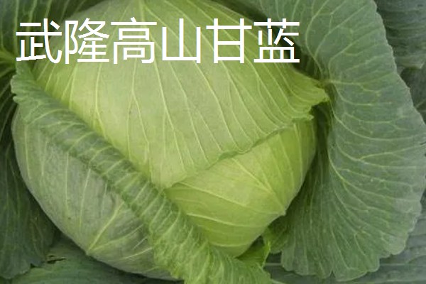 重庆市武隆的特产，常见的有白马蜂蜜、武隆高山白菜等