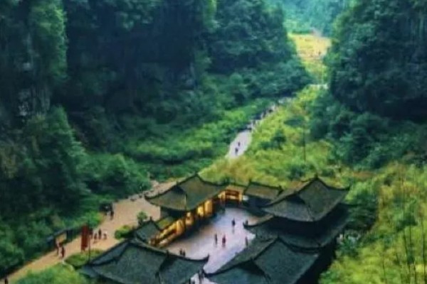 重庆市武隆的特产，常见的有白马蜂蜜、武隆高山白菜等