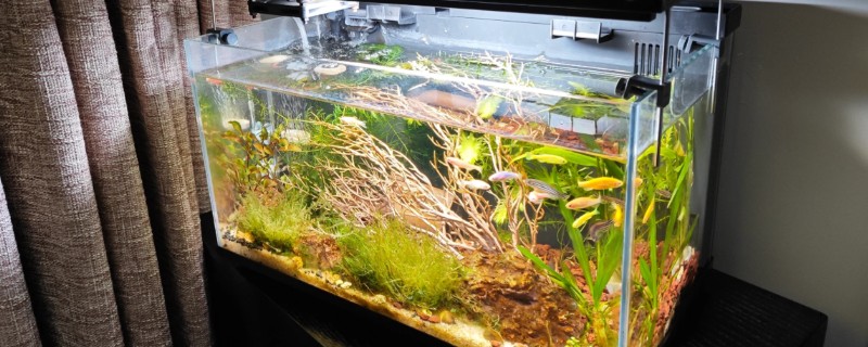 长60厘米宽30厘米高40厘米的缸可以装多少水，装水量能达到72升