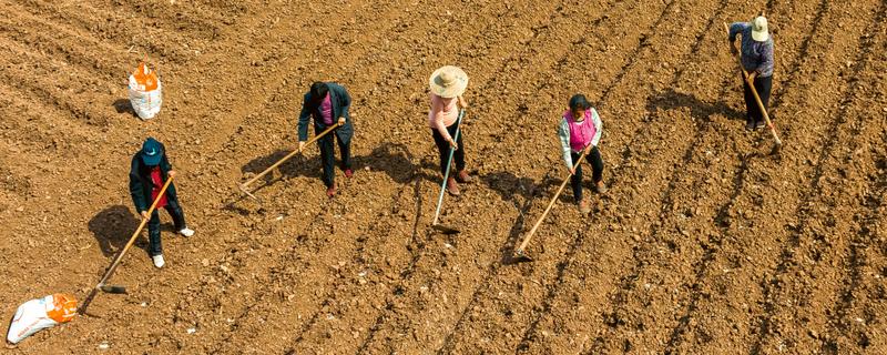 耕地非农化的含义，不能在耕地上面从事非农业活动