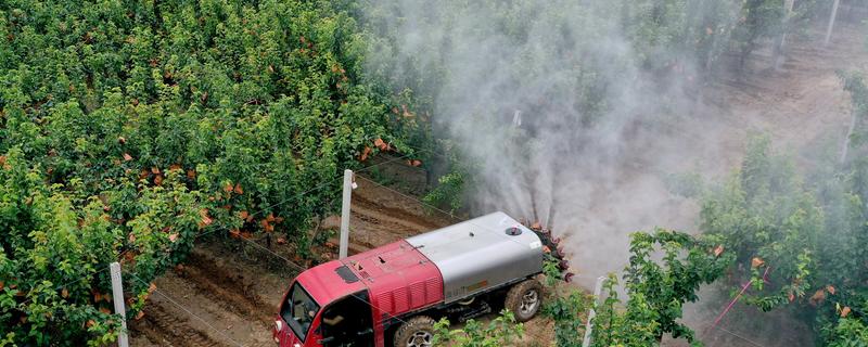 果园用药怎么提高药效，不能长期单一使用某种药物