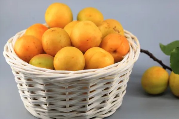 鲜食杏如何贮藏运输，运输过程中应轻装稳运