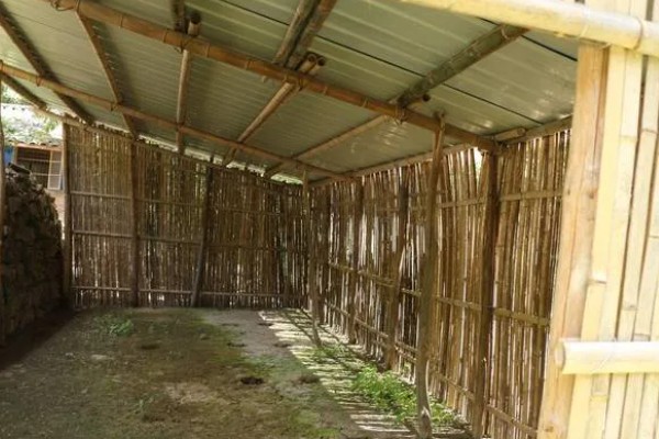 养牛场的修建方法，确保地面中间高、两边低