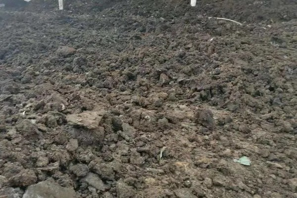 养牛场的修建方法，确保地面中间高、两边低