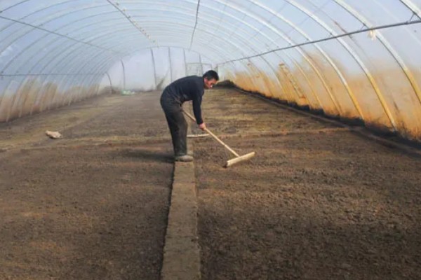 茄果类蔬菜怎么防治病害，播种前用温水浸种或用药物拌种