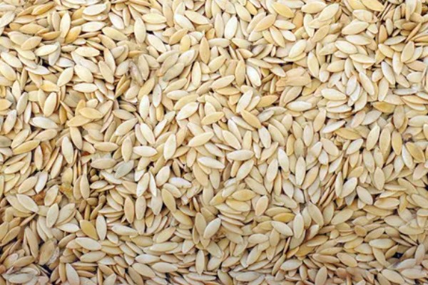 茄果类蔬菜怎么防治病害，播种前用温水浸种或用药物拌种