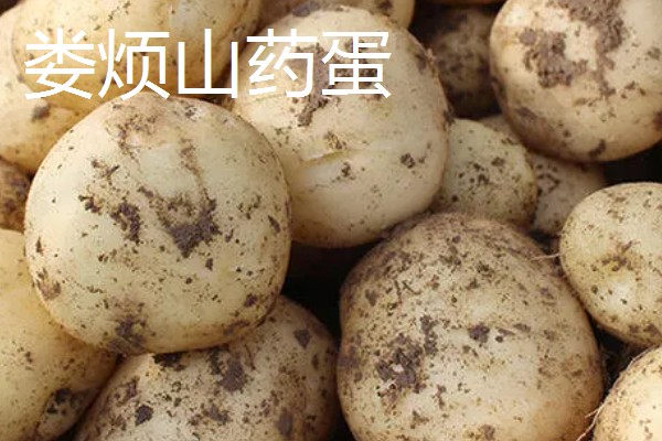 山西省灵丘县的特产，谷面糊糊别具风味