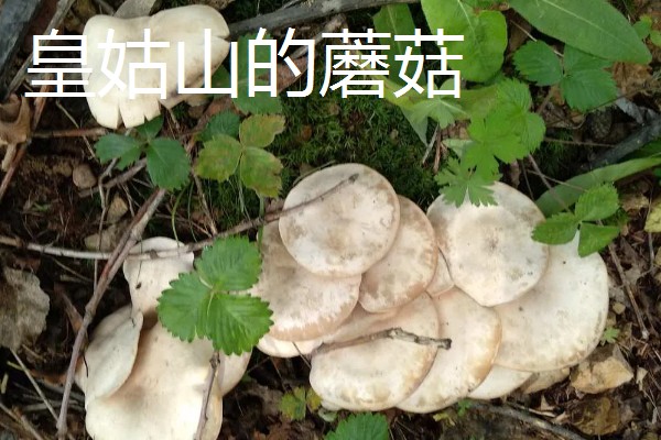 山西省灵丘县的特产，谷面糊糊别具风味