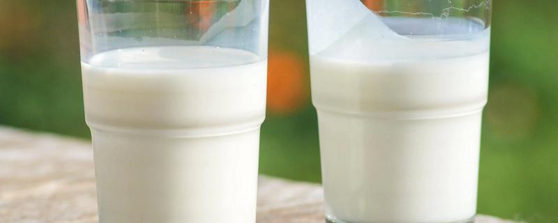 牛奶能杀虫吗，牛奶是可以杀虫的