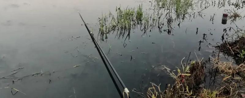 国内最细最轻的鲫鱼竿，等有名伦的武玄风、钓鱼王的疯影