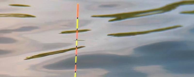 漂相为什么不明显，钓得过钝、线组过大、小鱼闹窝都是常见原因