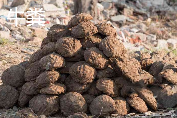 使用畜禽粪肥的好处，猪粪可以形成腐殖质