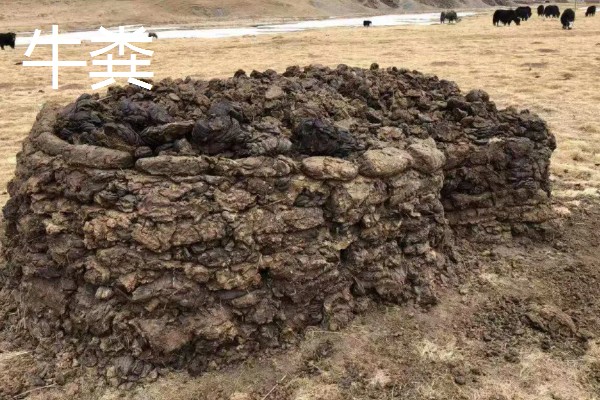 使用畜禽粪肥的好处，猪粪可以形成腐殖质