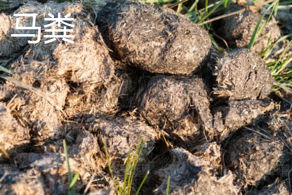 使用畜禽粪肥的好处，猪粪可以形成腐殖质