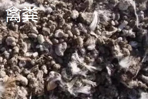 使用畜禽粪肥的好处，猪粪可以形成腐殖质