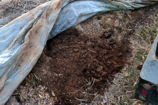 使用畜禽粪肥的好处，猪粪可以形成腐殖质