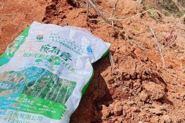 怎么种植黄豆，适合在4月份或6月份播种