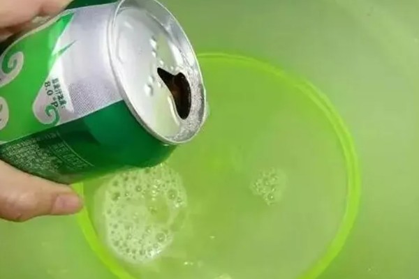 龟背竹能不能浇啤酒，浇灌后能让叶片更加碧绿