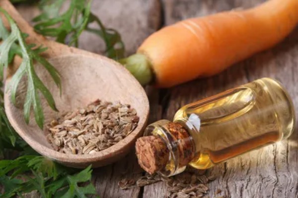 胡萝卜怎么增产,长出3-4片真叶时要追肥