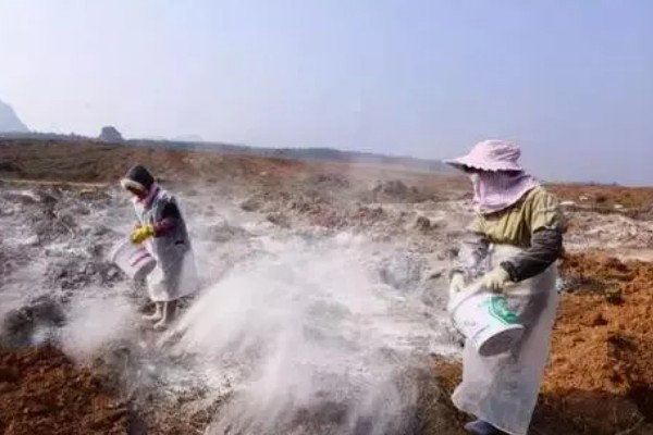 地瓜怎么种植，每穴播种1-2粒