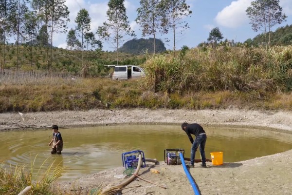 养殖螃蟹放养密度,水塘精养每亩可投放2000只