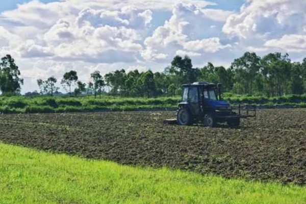 耕地非农化的含义，不能在耕地上面从事非农业活动
