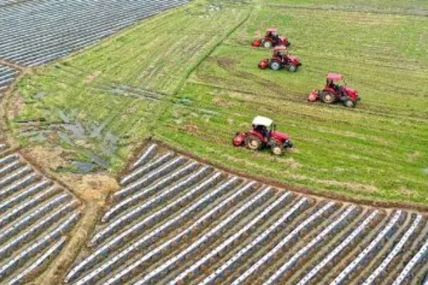 耕地非农化的含义，不能在耕地上面从事非农业活动