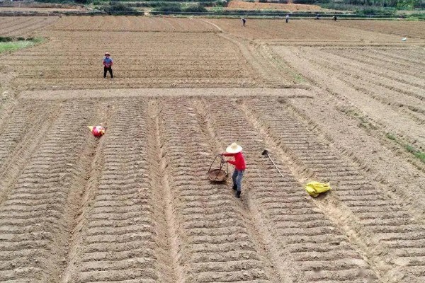 耕地非农化的含义，不能在耕地上面从事非农业活动