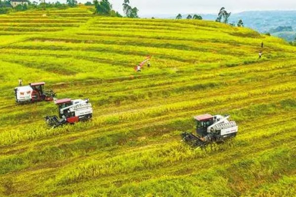 耕地非农化的含义，不能在耕地上面从事非农业活动