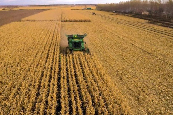 耕地非农化的含义，不能在耕地上面从事非农业活动