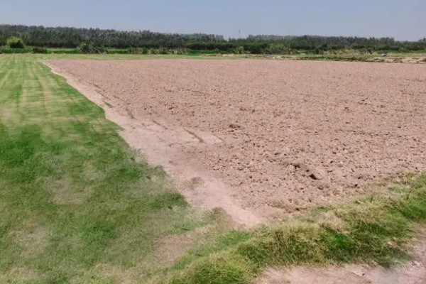 耕地非农化的含义，不能在耕地上面从事非农业活动