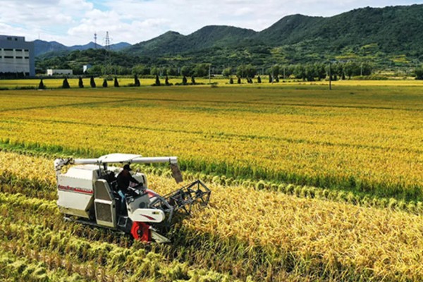 耕地非农化的含义，不能在耕地上面从事非农业活动