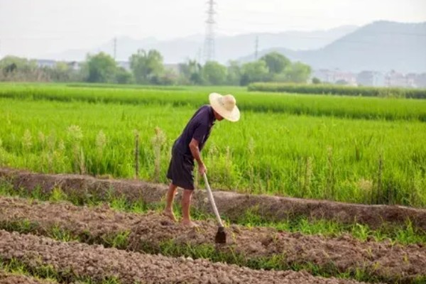 耕地非农化的含义，不能在耕地上面从事非农业活动