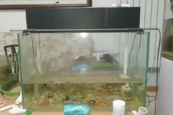 长60厘米宽30厘米高40厘米的缸可以装多少水，装水量能达到72升