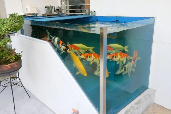 长60厘米宽30厘米高40厘米的缸可以装多少水，装水量能达到72升