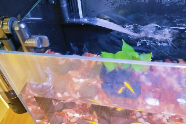 长60厘米宽30厘米高40厘米的缸可以装多少水，装水量能达到72升