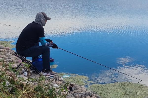钓鱼有哪些技巧，钓位根据季节、时间等确定