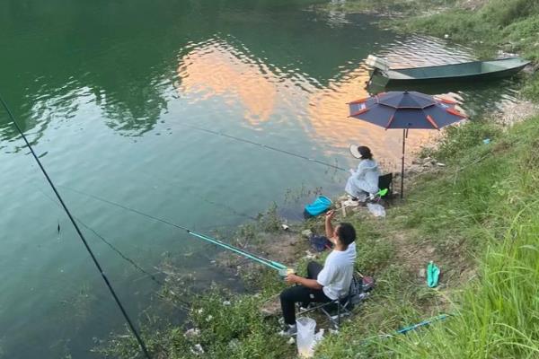 钓鱼有哪些技巧，钓位根据季节、时间等确定