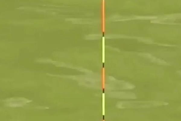 钓鱼有哪些技巧，钓位根据季节、时间等确定